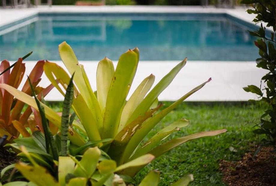 whatsapp image 2025-11-03 at 16.19.34 (4).jpeg