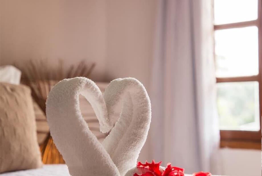 whatsapp image 2025-11-03 at 16.03.11.jpeg