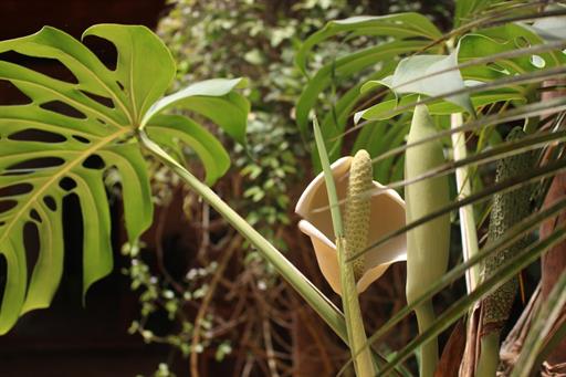 whatsapp image 2025-03-26 at 14.34.14 (6).jpeg