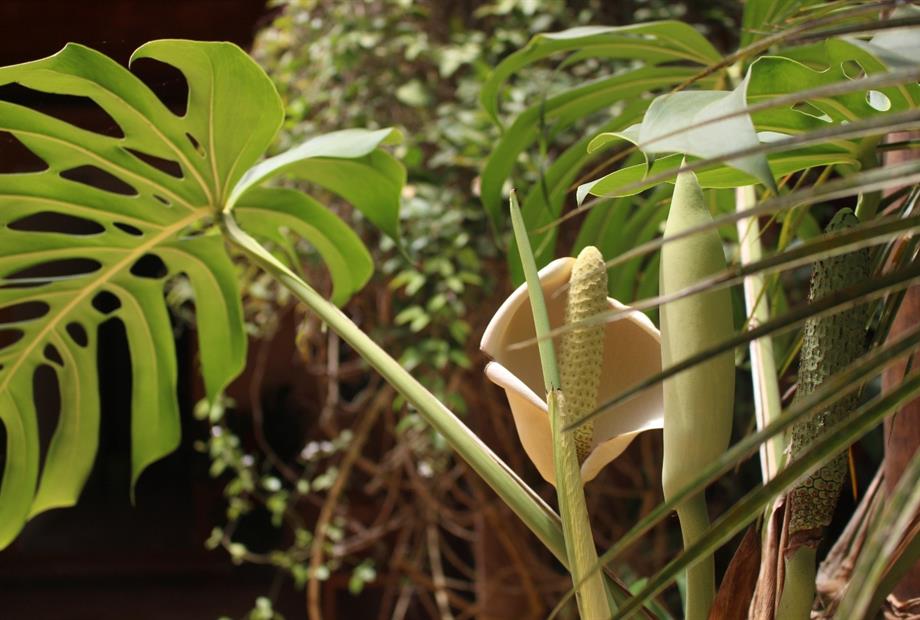 whatsapp image 2025-03-26 at 14.34.14 (6).jpeg