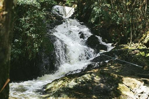 scva - experiências - cachoeira (4).jpg