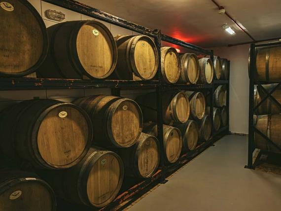 scva - experiências - degustação (2).jpg