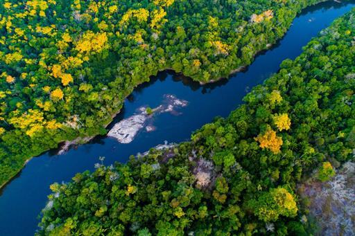 cl_cristalino river2_joão paulo krajewski.jpg