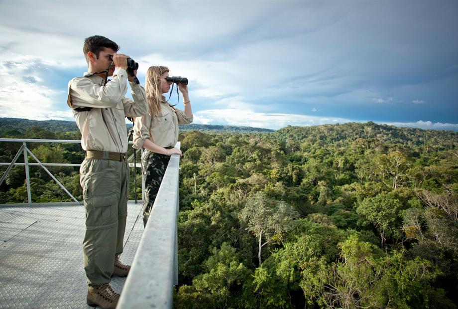 cl-tourists at canopy tower v-samuel melim.jpg