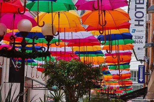 alameda gumz f4.jpeg