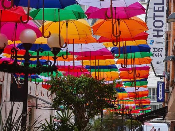 alameda gumz f4.jpeg