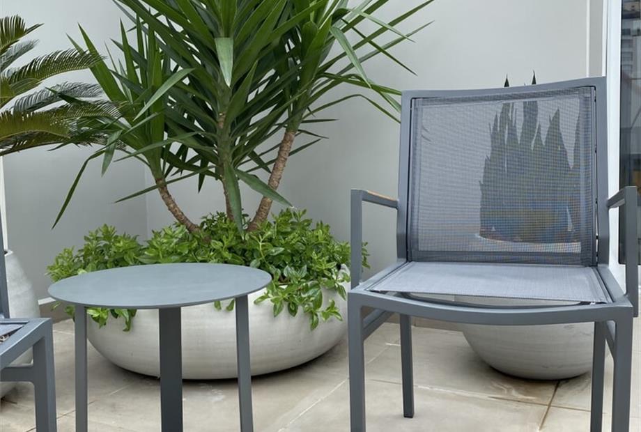 13.. (997 x 1329).jpg