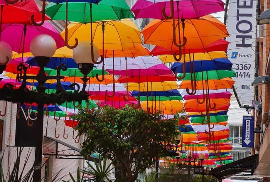 alameda gumz f4.jpeg