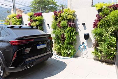 whatsapp image 2024-10-01 at 17.02.55-3.jpeg