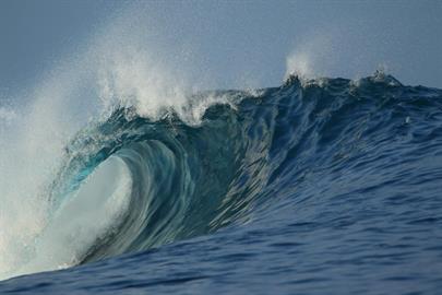 whatsapp image 2024-10-01 at 17.11.24.jpeg