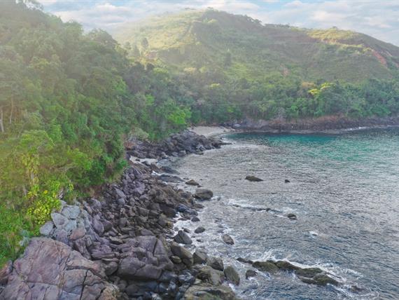 whatsapp image 2024-10-01 at 16.49.22-2.jpeg