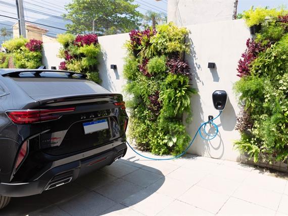 whatsapp image 2024-10-01 at 17.02.55-3.jpeg