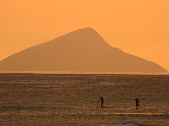 whatsapp image 2024-10-01 at 17.26.18.jpeg