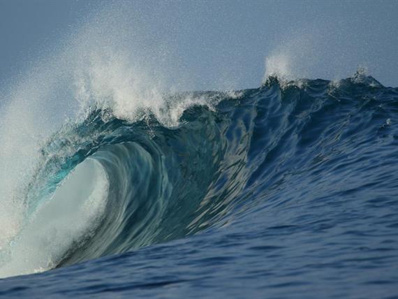 whatsapp image 2024-10-01 at 17.11.24.jpeg