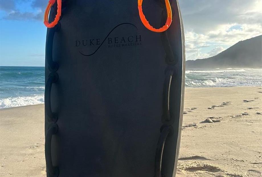 whatsapp image 2024-10-01 at 17.17.30.jpeg