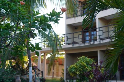 whatsapp image 2023-07-25 at 17.02.14.jpeg