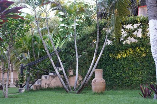 whatsapp image 2023-07-25 at 17.02.13 (1).jpeg