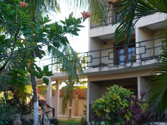 whatsapp image 2023-07-25 at 17.02.14.jpeg