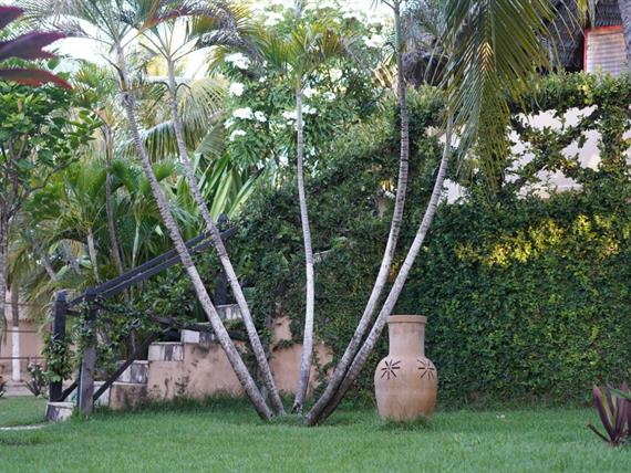 whatsapp image 2023-07-25 at 17.02.13 (1).jpeg