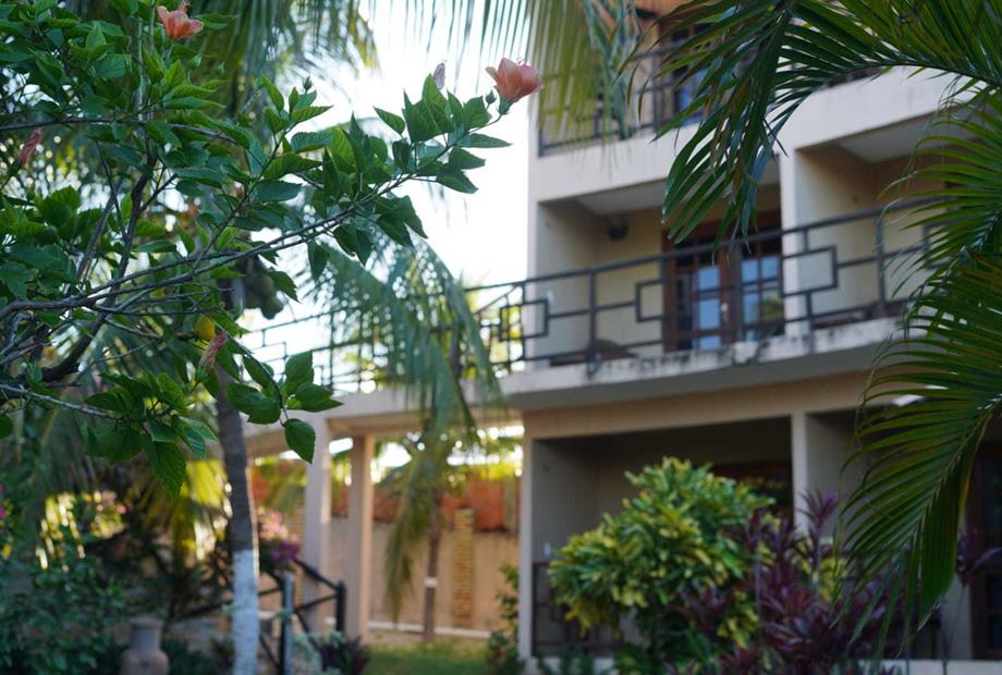 whatsapp image 2023-07-25 at 17.02.14.jpeg