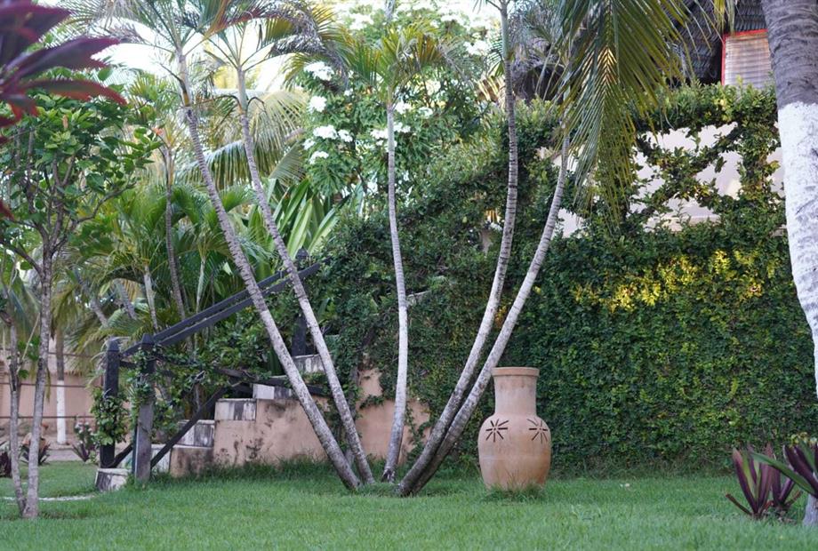 whatsapp image 2023-07-25 at 17.02.13 (1).jpeg