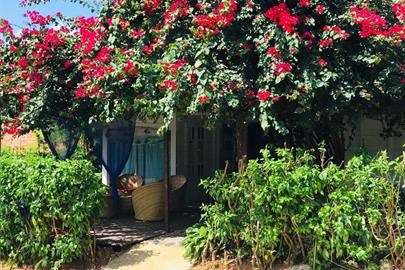 foto atualizada portal dos golfinhos.jpg