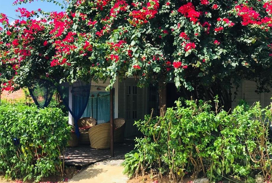 foto atualizada portal dos golfinhos.jpg