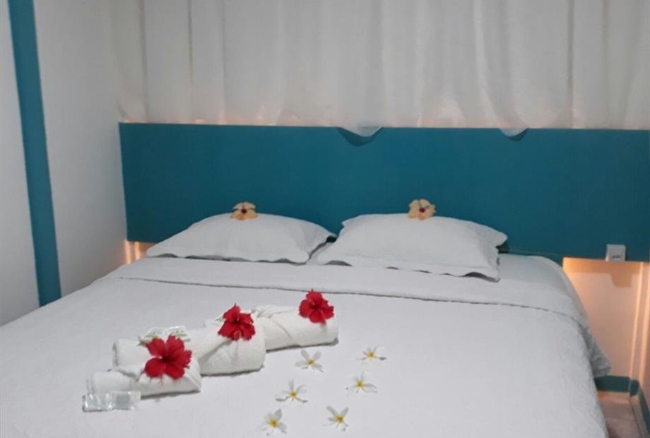 portal dos golfinhos 9.jpg