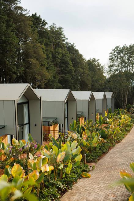 duplex suites.jpg