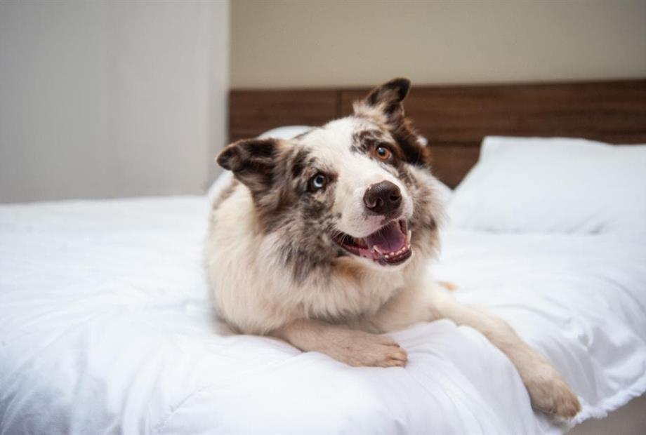 whatsapp image 2025-02-12 at 18.22.24 (3).jpeg