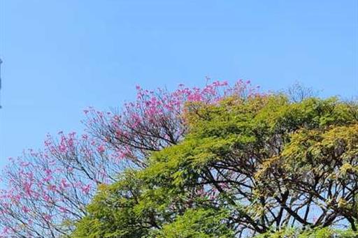 whatsapp image 2023-08-20 at 19.31.18.jpeg