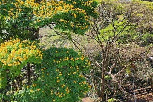 whatsapp image 2023-08-20 at 19.30.31.jpeg