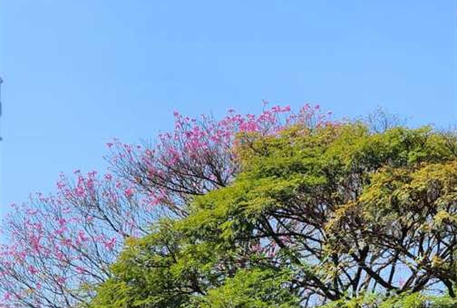 whatsapp image 2023-08-20 at 19.31.18.jpeg