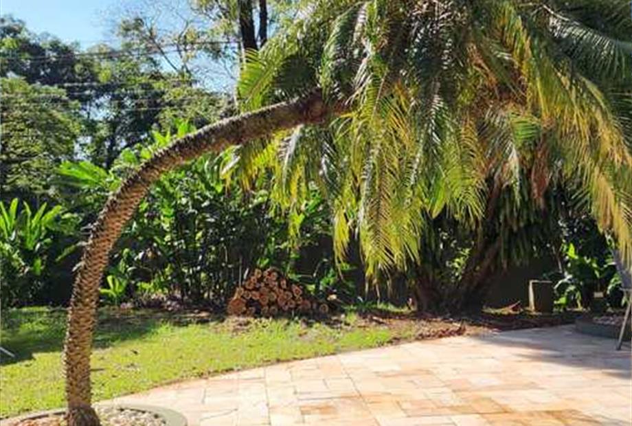 whatsapp image 2023-08-20 at 19.32.15 (2).jpeg