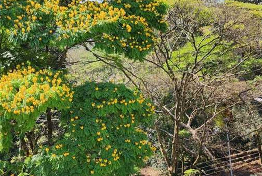 whatsapp image 2023-08-20 at 19.30.31.jpeg