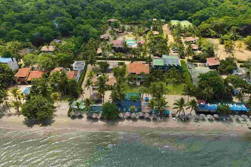 foto cv omnibies 10.jpg