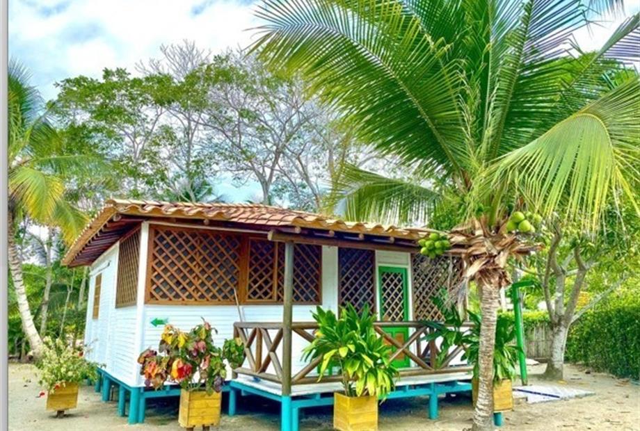 whatsapp image 2023-11-03 at 12.36.19 pm.jpeg