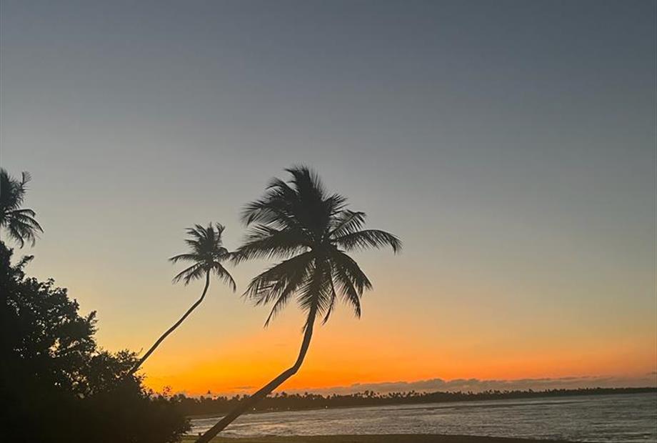 whatsapp image 2023-09-01 at 09.06.28 (26).jpeg