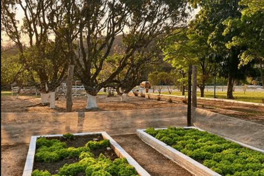 captura de tela 2024-11-07 130116.png