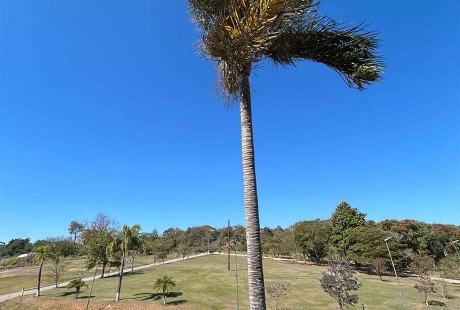 whatsapp image 2025-08-14 at 11.28.59 (1).jpeg