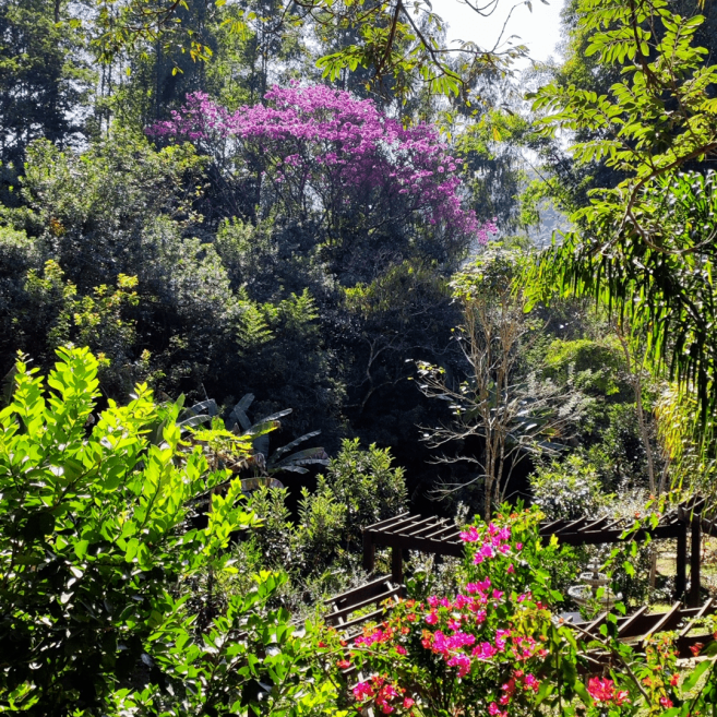 jardim capa.png