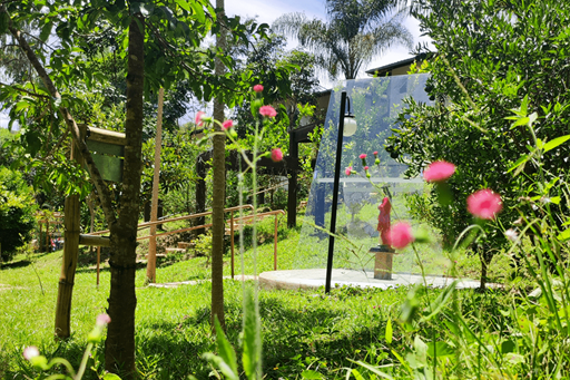 sagrado coração jesus capa.png