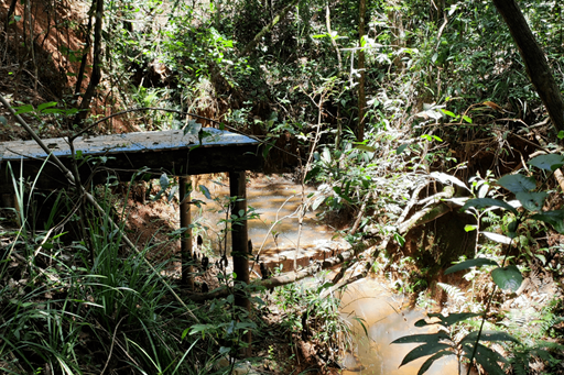 poço dos desejos capa.png