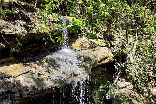 trilha 3 pedras capa.png