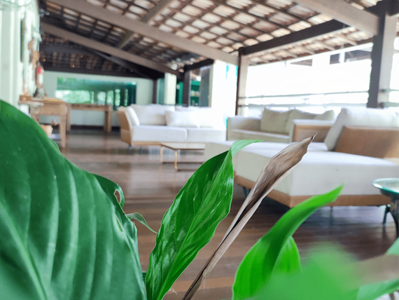 lounge capa.png