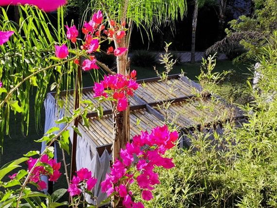 flora 2.png
