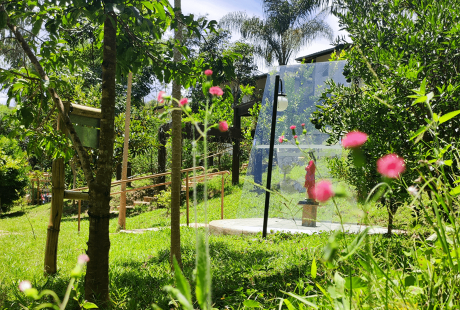 sagrado coração jesus capa.png