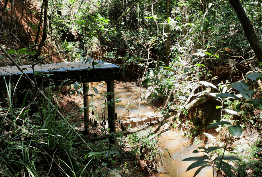 poço dos desejos capa.png