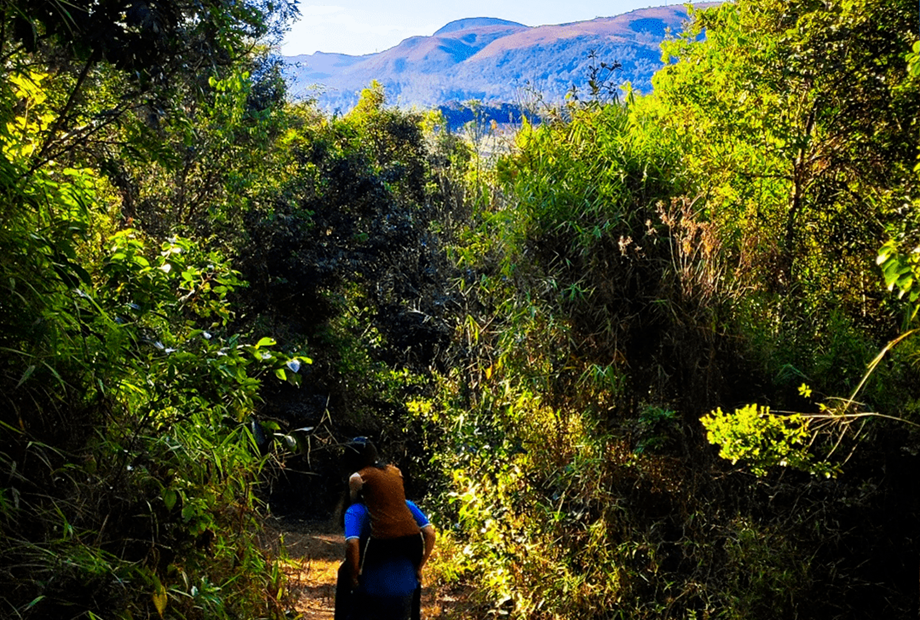 trilha topo do mundo capa.png