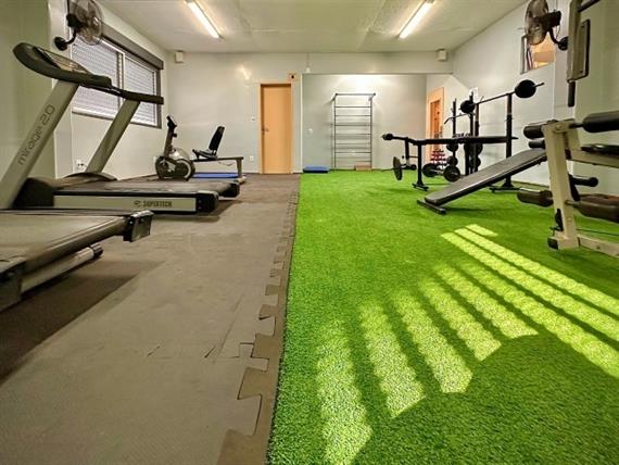 fitness-003-min.jpg